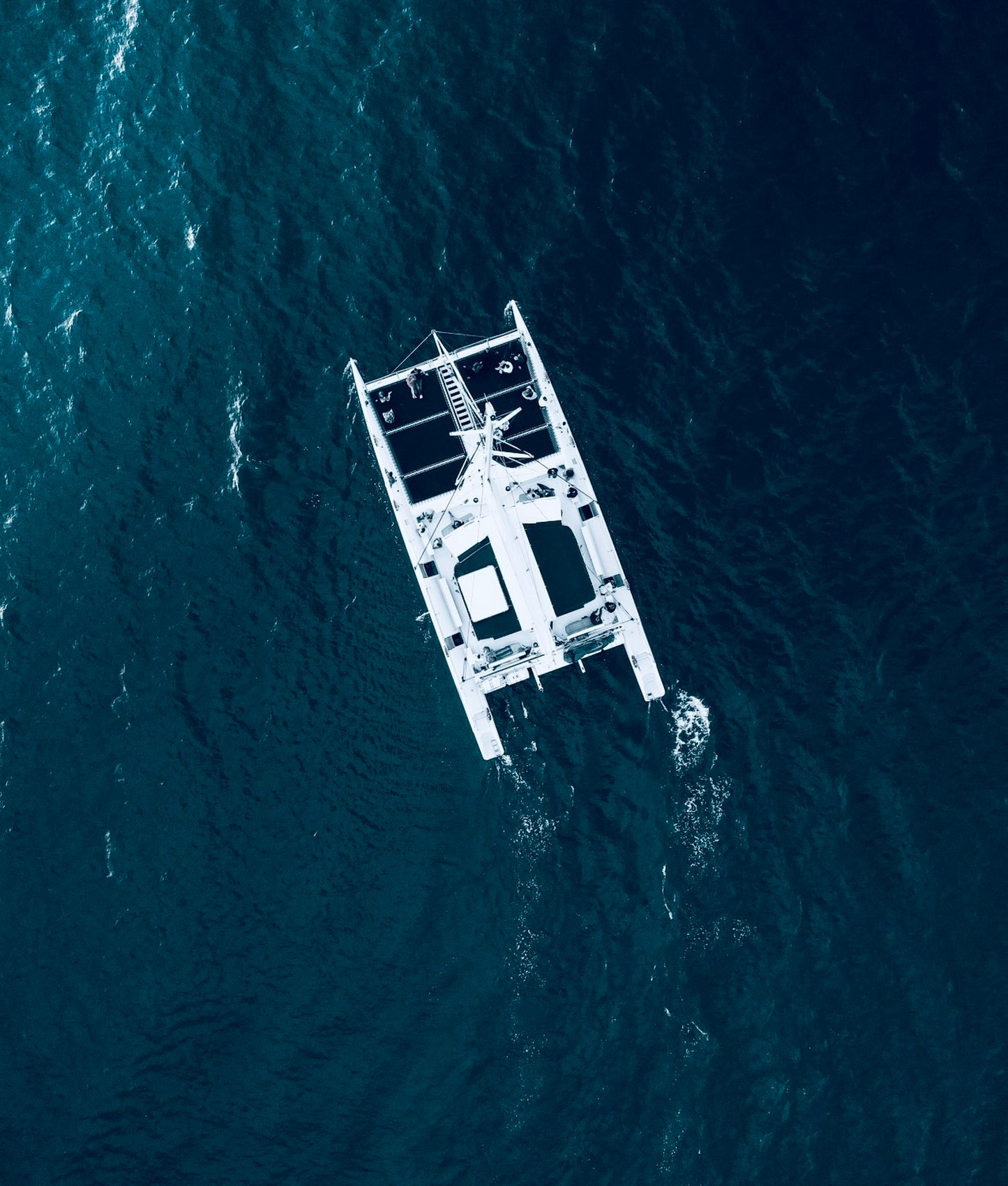 VIP Catamaran